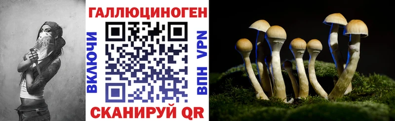 гидра tor  Новотитаровская  Псилоцибиновые грибы Psilocybe 